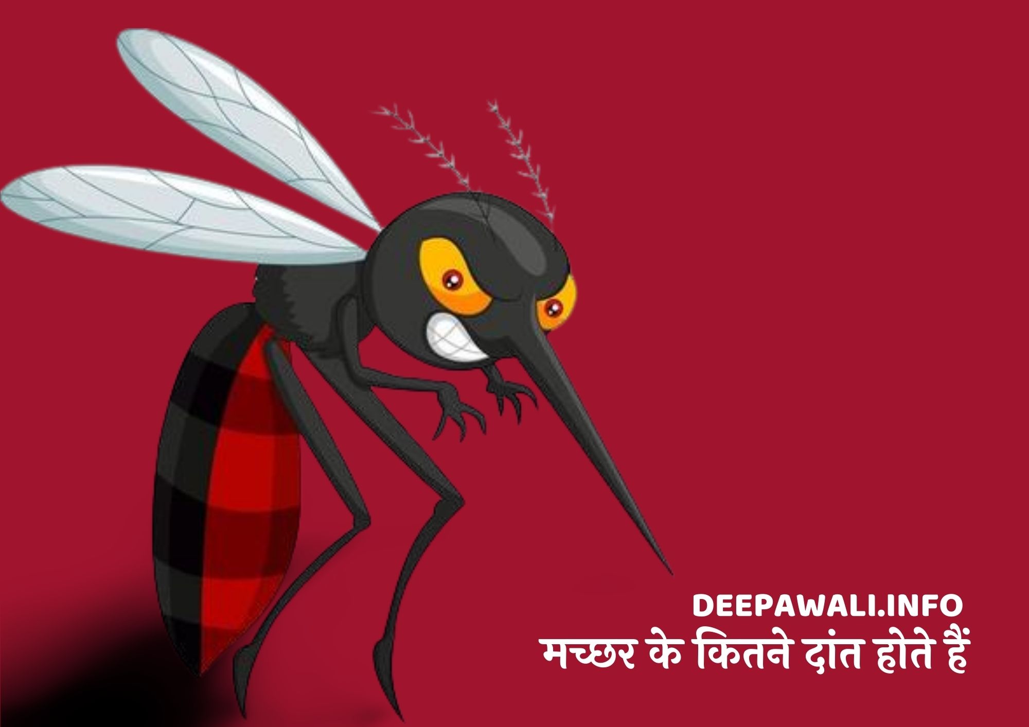 एक मच्छर के कितने दांत होते हैं (Ek Machhar Ke Kitne Dant Hote Hain)