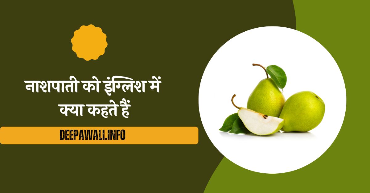 नाशपाती को इंग्लिश में क्या कहते हैं (English Of Nashpati) - Nashpati Ko English Mein Kya Kahate Hain | Nashpati In English Meaning