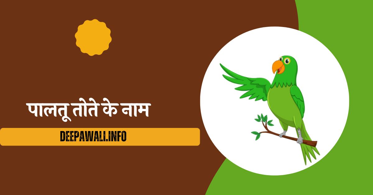 पालतू तोते के नाम - Parrot Hindi Name (Name Of Parrot In Hindi)