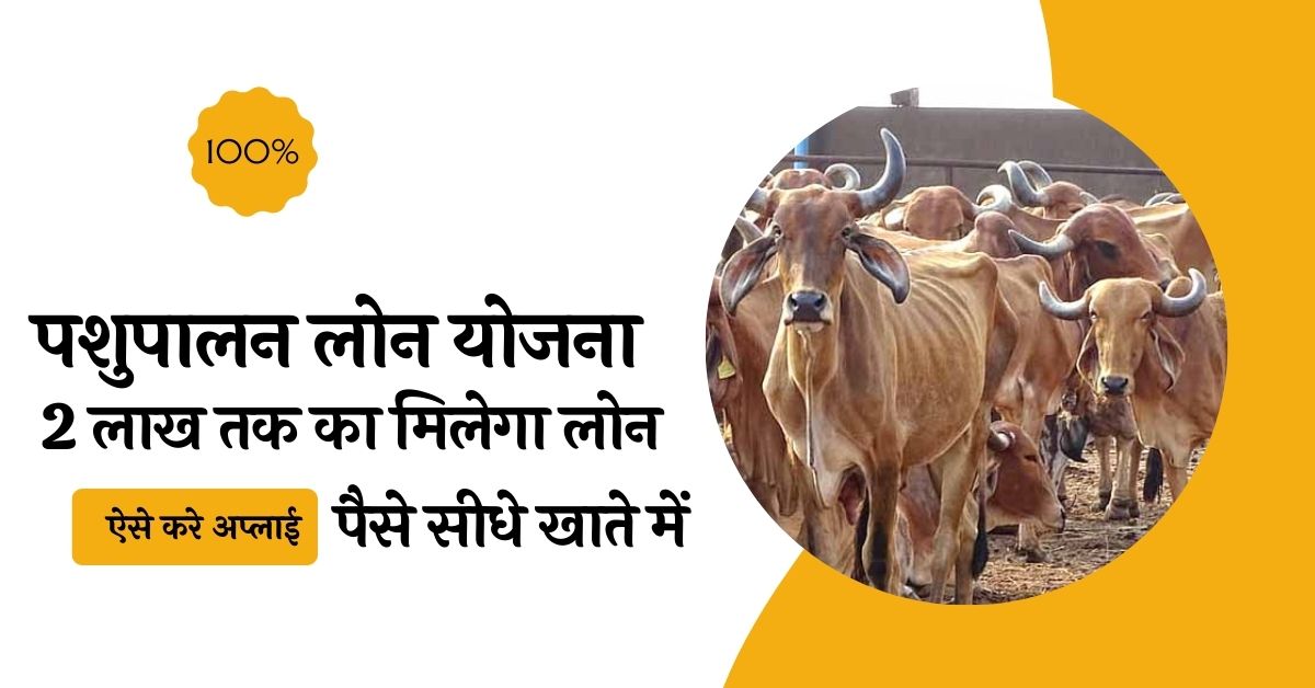 पशुपालन लोन योजना क्या है, पशुपालन लोन ऑनलाइन अप्लाई कैसे करे