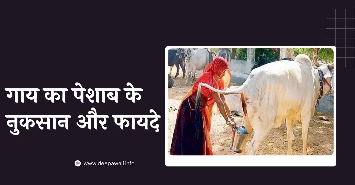 गाय का पेशाब के नुकसान और फायदे (गाय का पेशाब के फायदे और नुकसान) - Gomutra Ke Fayde Aur Nuksan In Hindi | Gomutra Ke Nuksan Aur Fayde