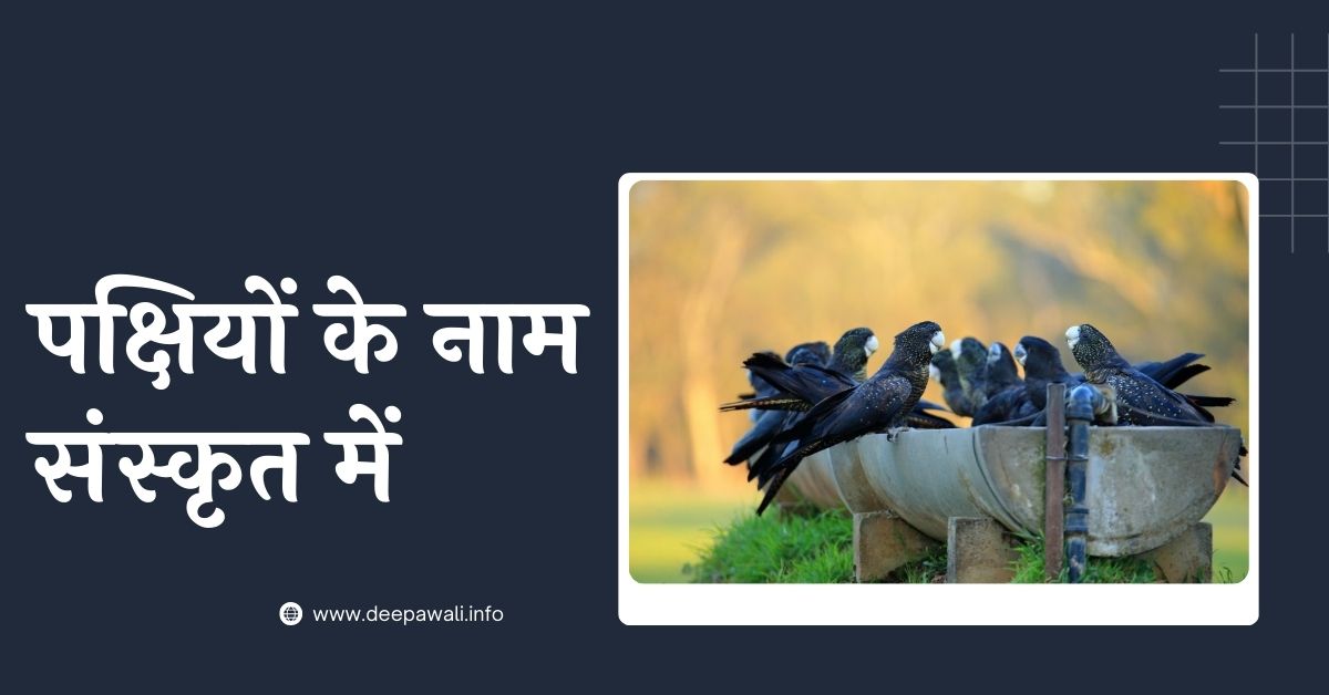 पक्षियों के नाम संस्कृत में - Sanskrit Birds Name (All Birds Name In Sanskrit Language) - Sanskrit Mein Pakshiyon Ke Naam