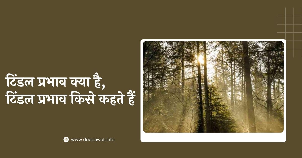 टिंडल प्रभाव क्या है, टिंडल प्रभाव किसे कहते हैं - Tindal Prabhav Kise Kahate Hain | Tindal Prabhav Kya Hai